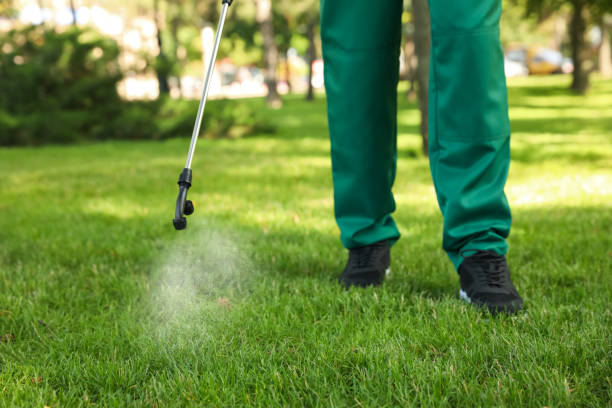 Best Pest Control for Restaurants  in Douglass, KS