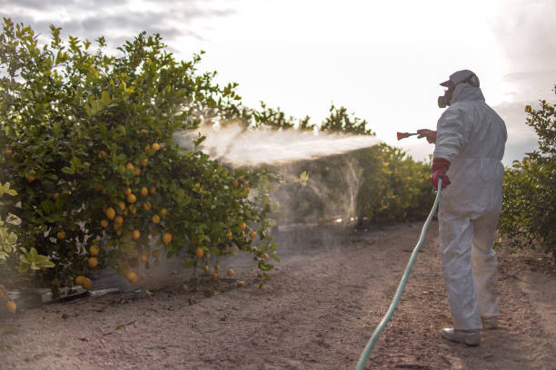 Best Pest Inspection Near Me  in Douglass, KS