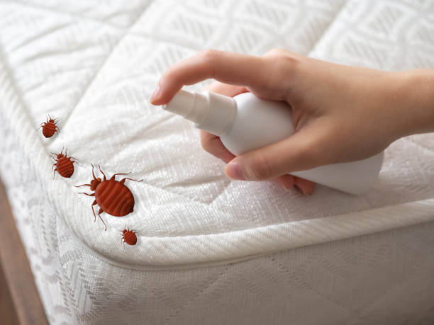 Best Pest Inspection Near Me  in Douglass, KS