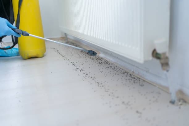 Best Best Pest Control Companies  in Douglass, KS